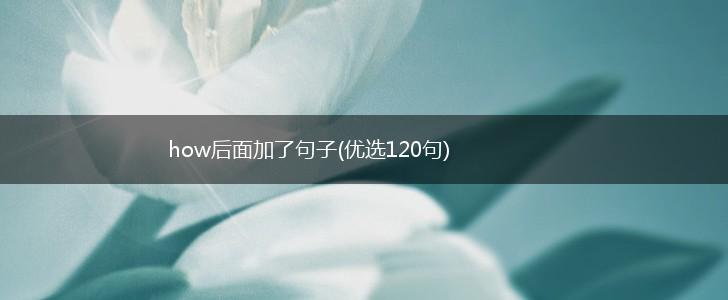how后面加了句子(优选120句),第1张
