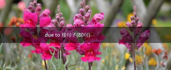 due to 接句子(80句),第1张