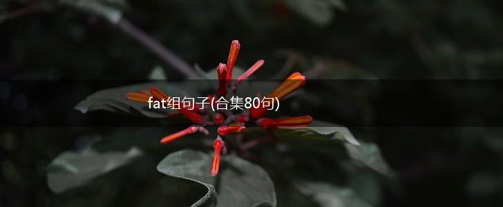 fat组句子(合集80句),第1张