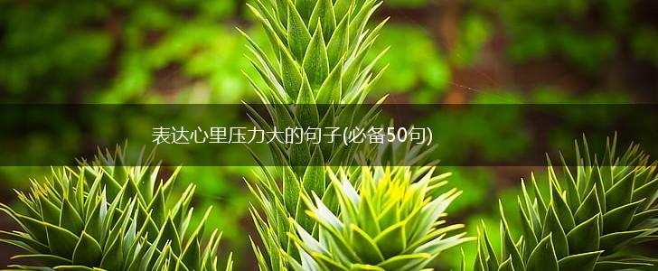 表达心里压力大的句子(必备50句),第1张