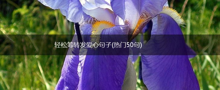 轻松筹转发爱心句子(热门50句),第1张