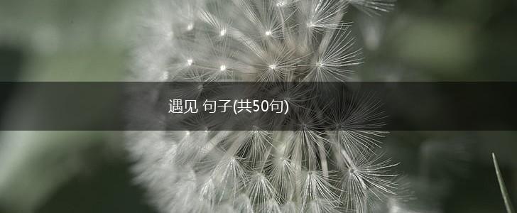 遇见 句子(共50句),第1张