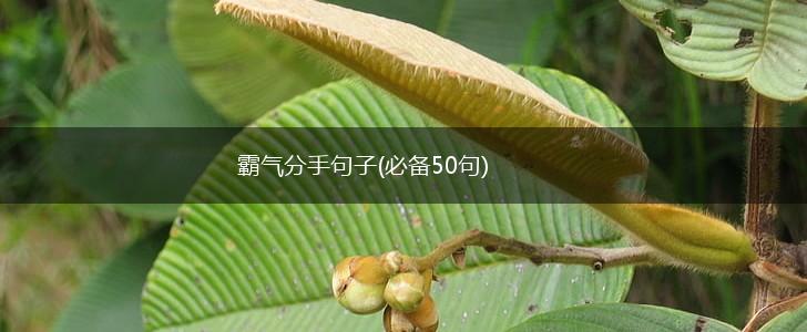 霸气分手句子(必备50句),第1张
