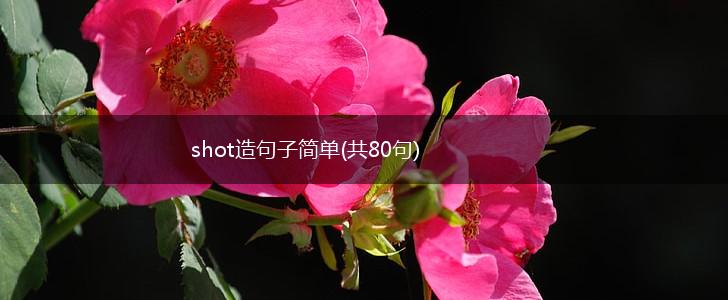 shot造句子简单(共80句),第1张