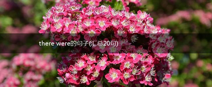 there were的句子(汇总20句),第1张