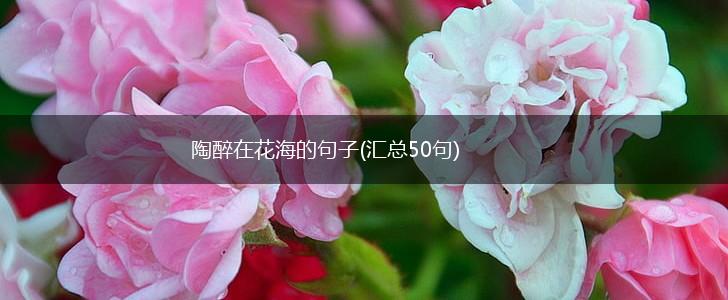 陶醉在花海的句子(汇总50句),第1张