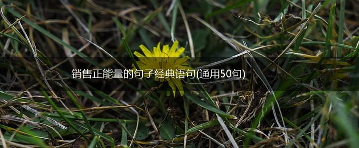 销售正能量的句子经典语句(通用50句),第1张