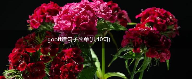 gooff造句子简单(共40句),第1张