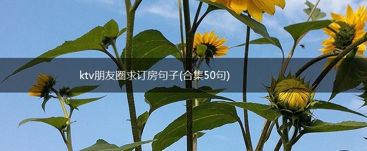 ktv朋友圈求订房句子(合集50句),第1张