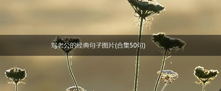 骂老公的经典句子图片(合集50句),第1张