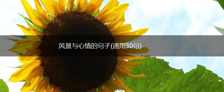 风景与心情的句子(通用30句),第1张