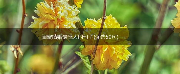 闺蜜结婚最感人的句子(优选50句),第1张