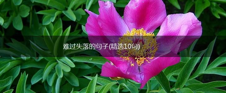 难过失落的句子(精选10句),第1张