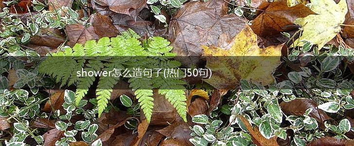 shower怎么造句子(热门50句),第1张
