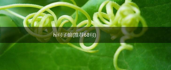 hi句子馆(推荐68句),第1张