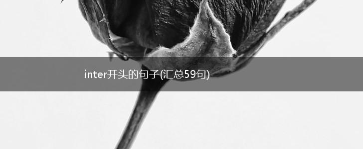 inter开头的句子(汇总59句),第1张