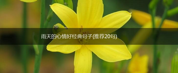 雨天的心情好经典句子(推荐20句),第1张