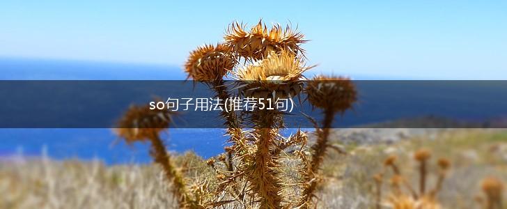 so句子用法(推荐51句),第1张