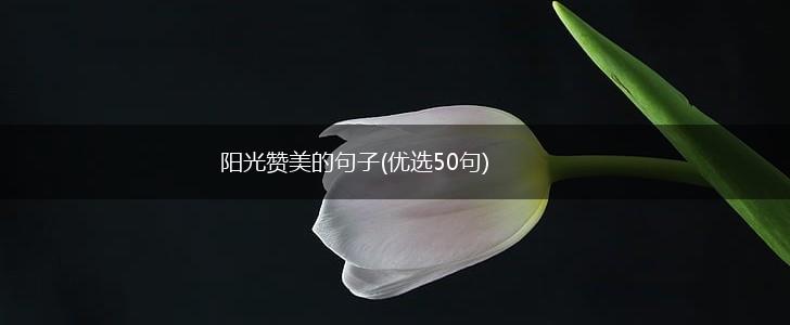 阳光赞美的句子(优选50句),第1张