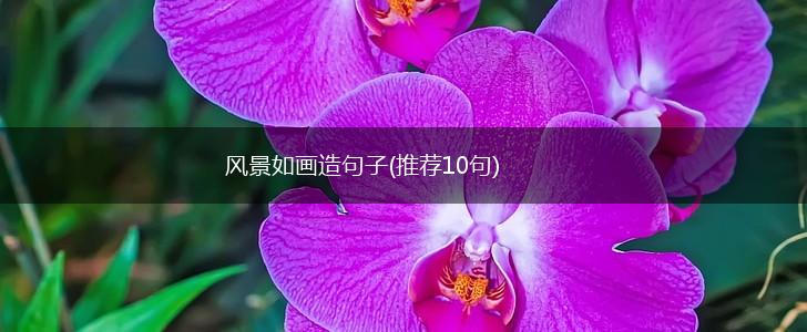 风景如画造句子(推荐10句),第1张