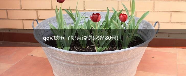 qq动态句子奶茶说说(必备80句),第1张