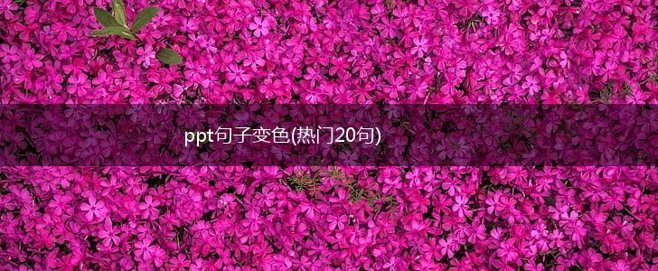 ppt句子变色(热门20句),第1张
