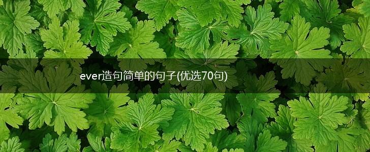ever造句简单的句子(优选70句),第1张