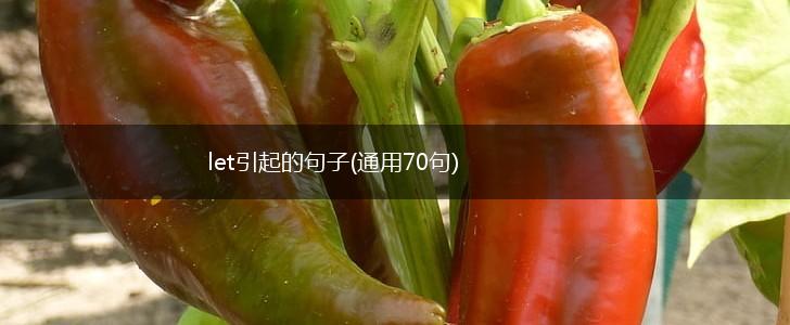 let引起的句子(通用70句),第1张