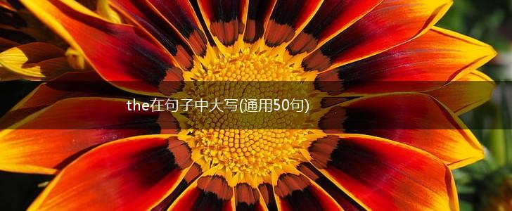 the在句子中大写(通用50句),第1张