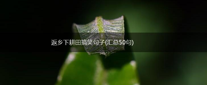 返乡下耕田搞笑句子(汇总50句),第1张