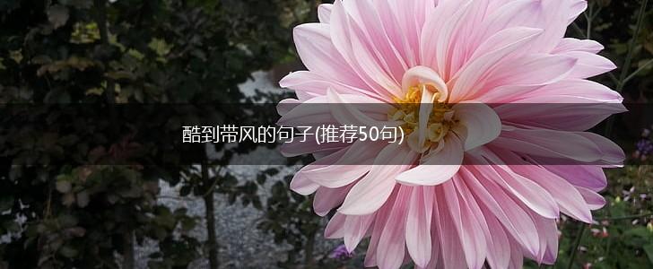 酷到带风的句子(推荐50句),第1张
