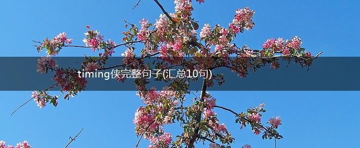 timing侠完整句子(汇总10句),第1张