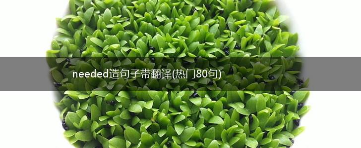 needed造句子带翻译(热门80句),第1张