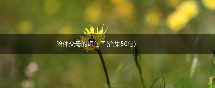 陪伴父母的短句子(合集50句),第1张