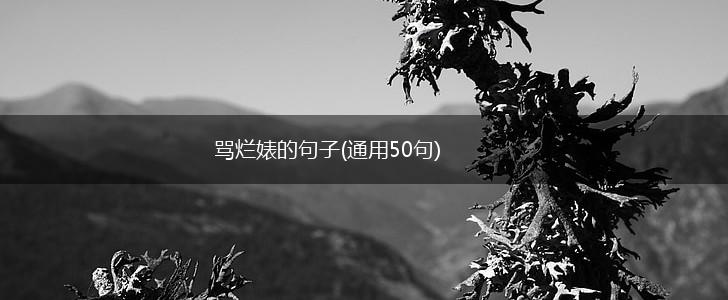 骂烂婊的句子(通用50句),第1张