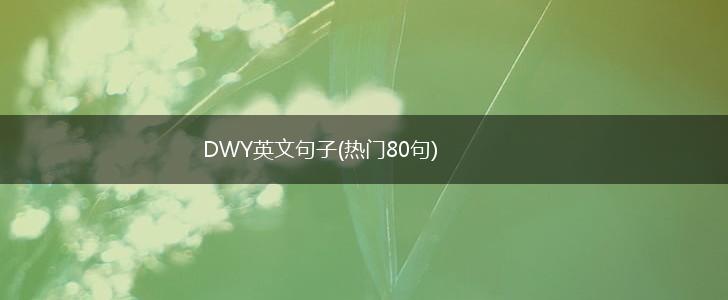 DWY英文句子(热门80句),第1张
