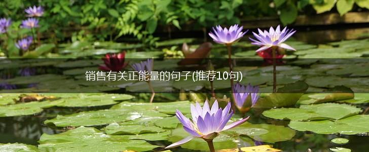 销售有关正能量的句子(推荐10句),第1张