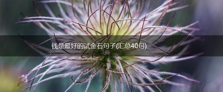 钱是最好的试金石句子(汇总40句),第1张
