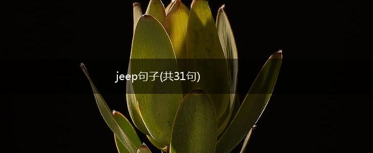 jeep句子(共31句),第1张