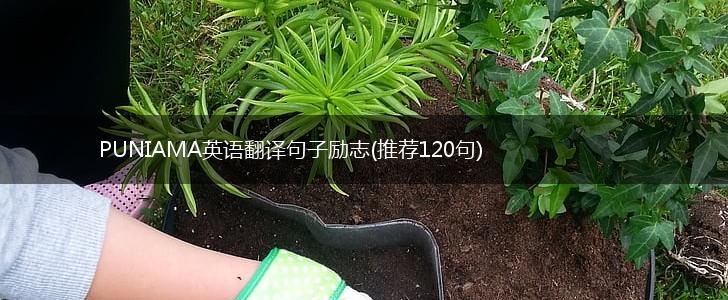 PUNIAMA英语翻译句子励志(推荐120句),第1张