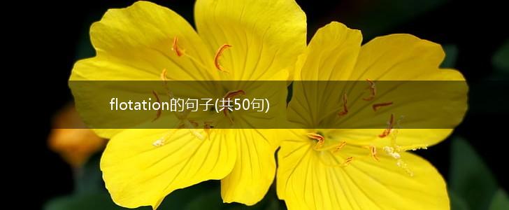 flotation的句子(共50句),第1张