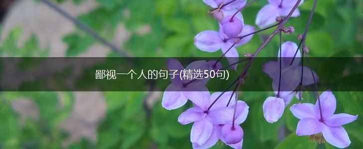 鄙视一个人的句子(精选50句),第1张