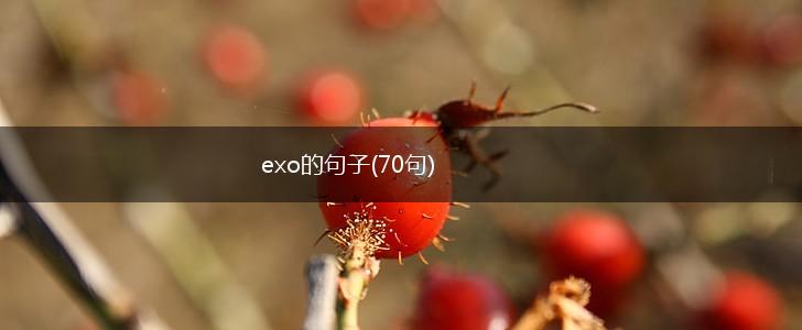 exo的句子(70句),第1张