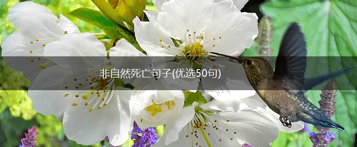 非自然死亡句子(优选50句),第1张