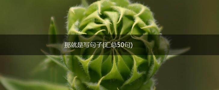 那就是写句子(汇总50句),第1张