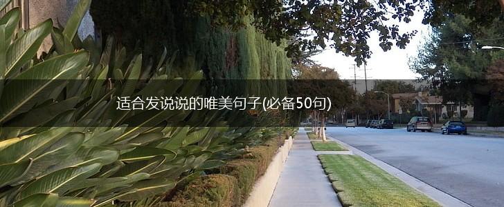 适合发说说的唯美句子(必备50句),第1张