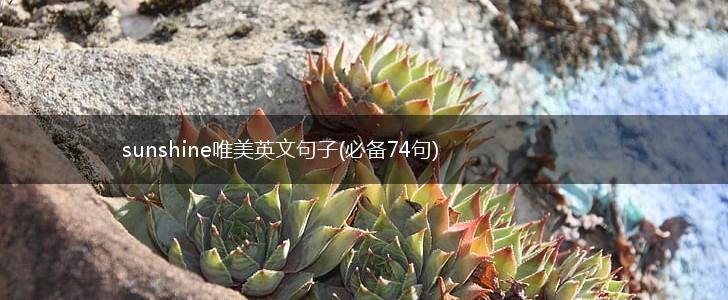sunshine唯美英文句子(必备74句),第1张