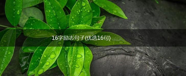 16字励志句子(优选16句),第1张