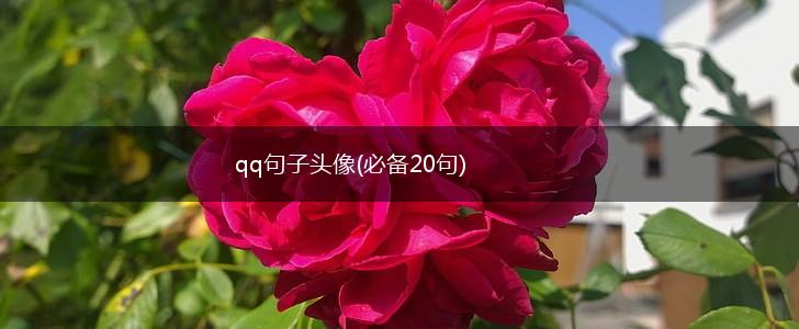 qq句子头像(必备20句),第1张
