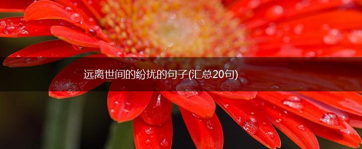 远离世间的纷扰的句子(汇总20句),第1张